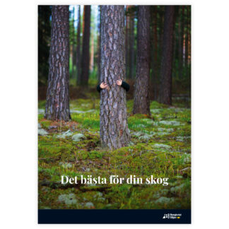 Affisch 70x100cm "Det bästa" 20-pack